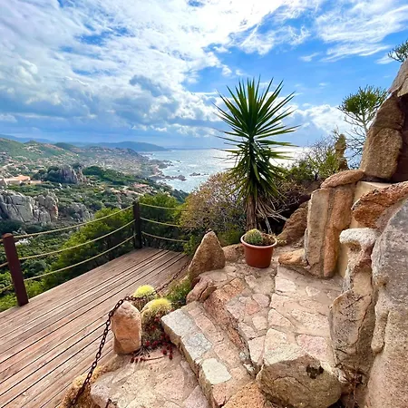Paradise View