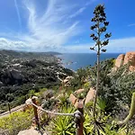 Paradise View