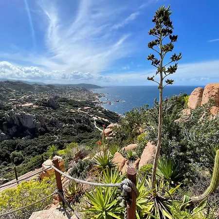 Paradise View