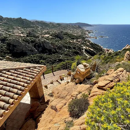 Paradise View